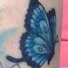 Tattoos - Flower and Butterflies - 70593